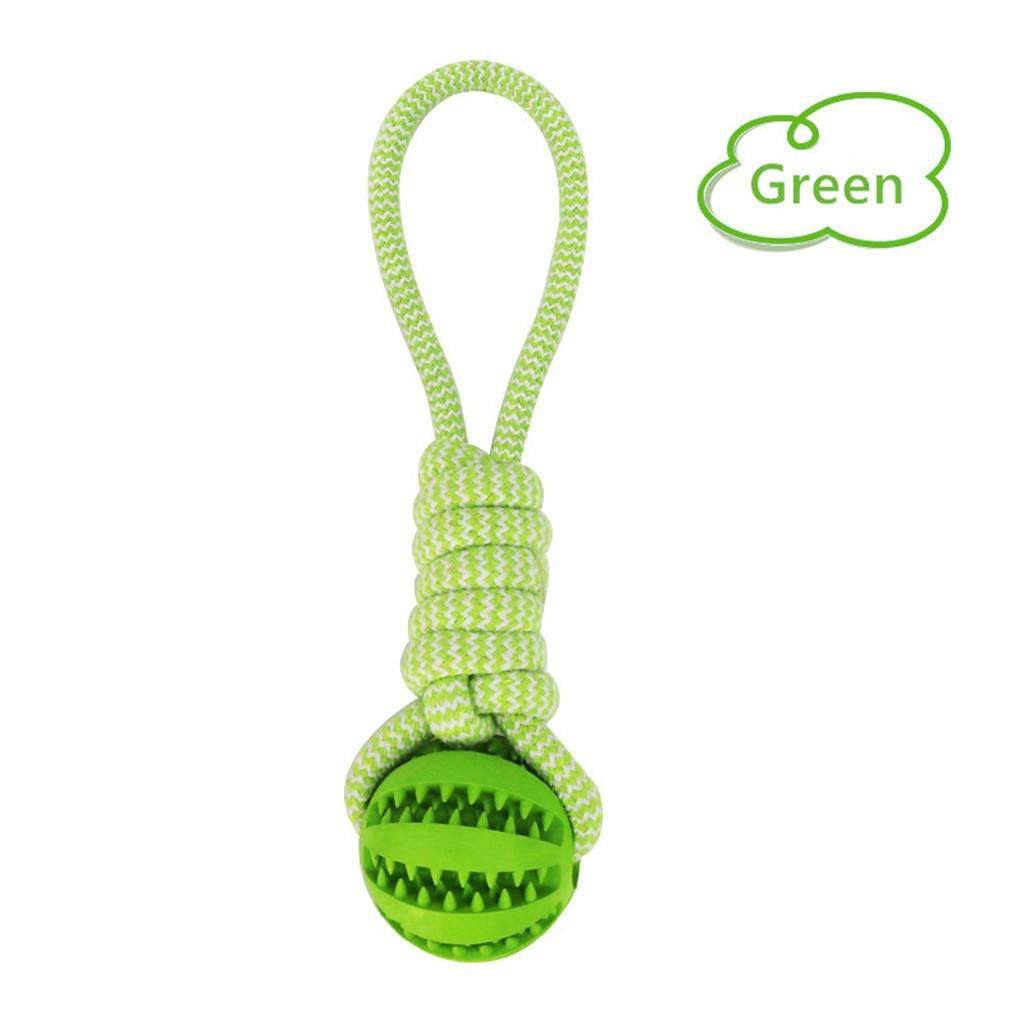 Pet Dental Twist Chew Toy