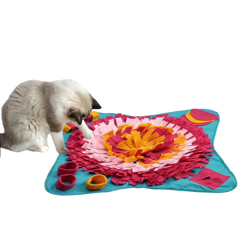 Interactive Pet Learning Toy