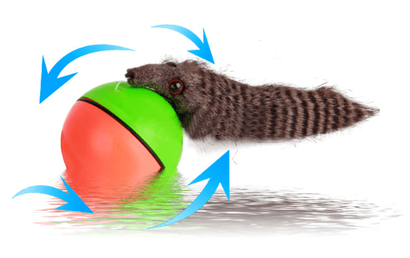 Interactive Pet Play Water Toy Set