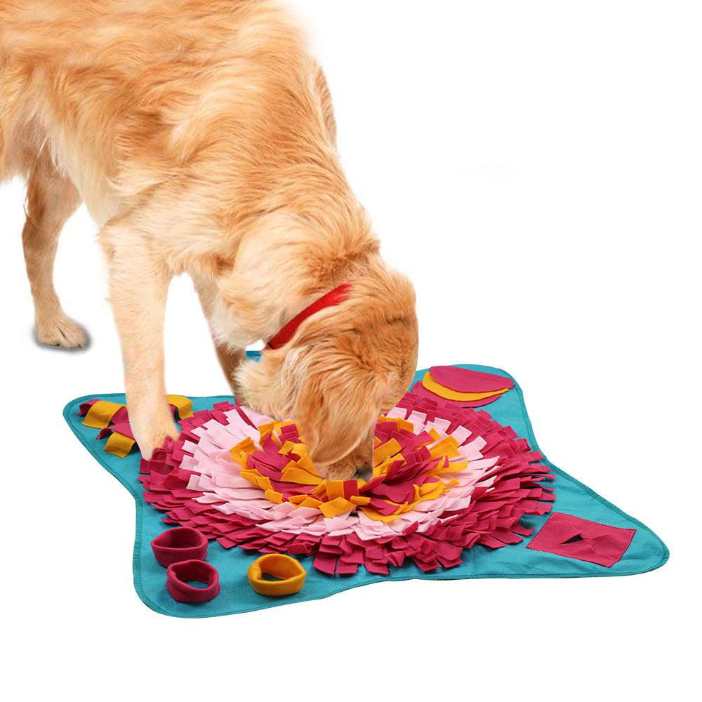 Interactive Pet Learning Toy