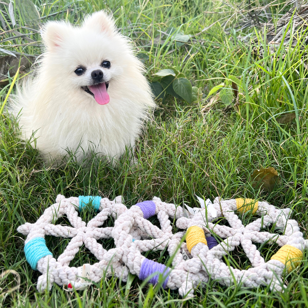 Color wheel Macrame Rope Pet Toy