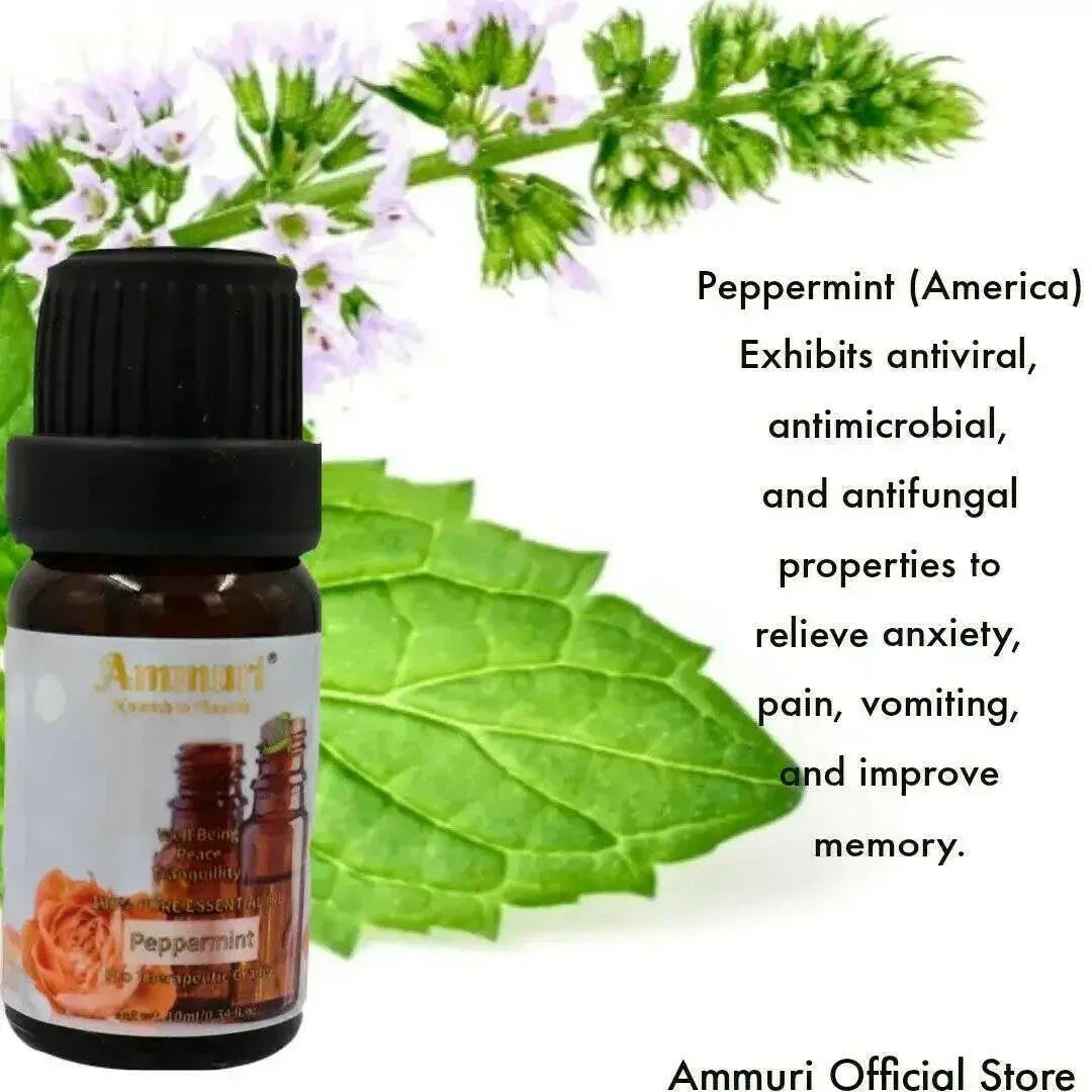 Set de regalo de aceites esenciales Ammuri Skincare - Colección de aromaterapia