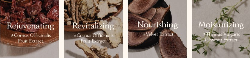 CHOGONGJIN Sosaeng Jin Set de cuidado de la piel 2